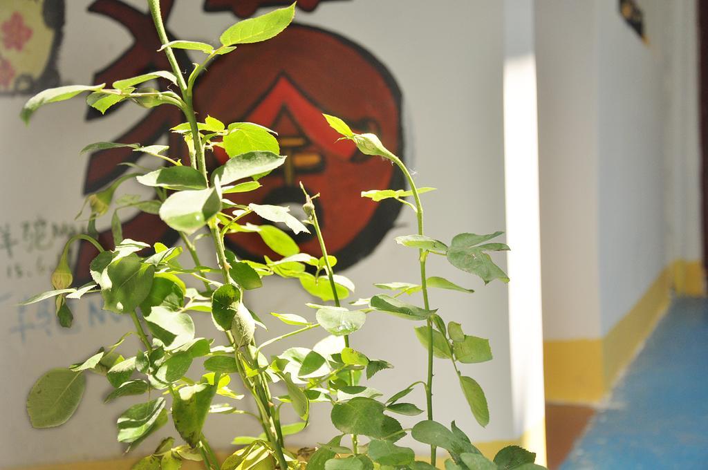 Xi'An Maoshe Youth Hostel Ngoại thất bức ảnh